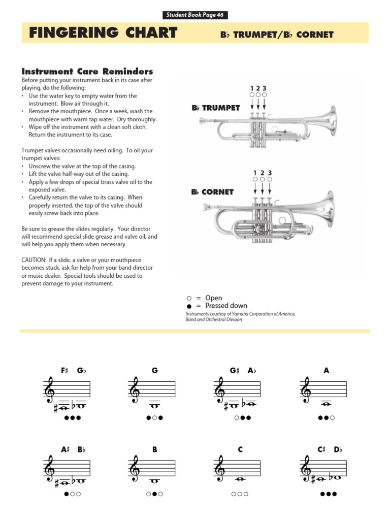 Bb Trumpet Fingering Chart & Care Guide | PDF | Trumpet | Brass Instruments