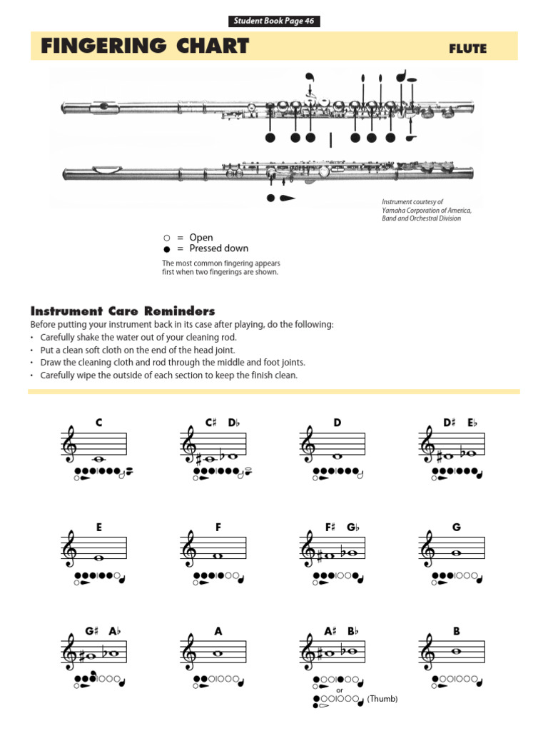 Flute Fingering Chart Guide | PDF | Musical Techniques | Musical ...