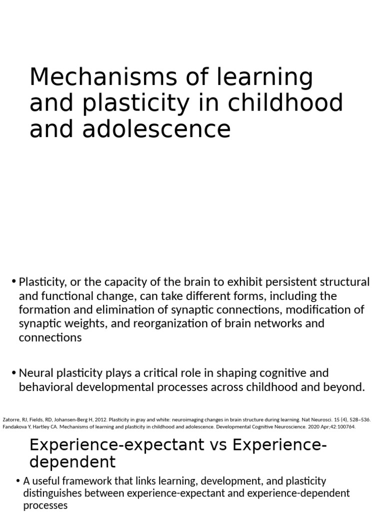 Understanding Brain Plasticity in Youth | PDF | Neuroplasticity ...