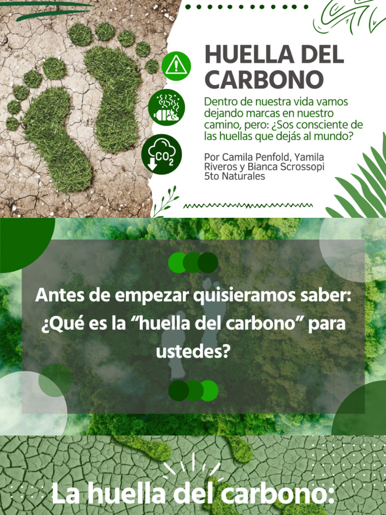 Huella Del Carbono | PDF