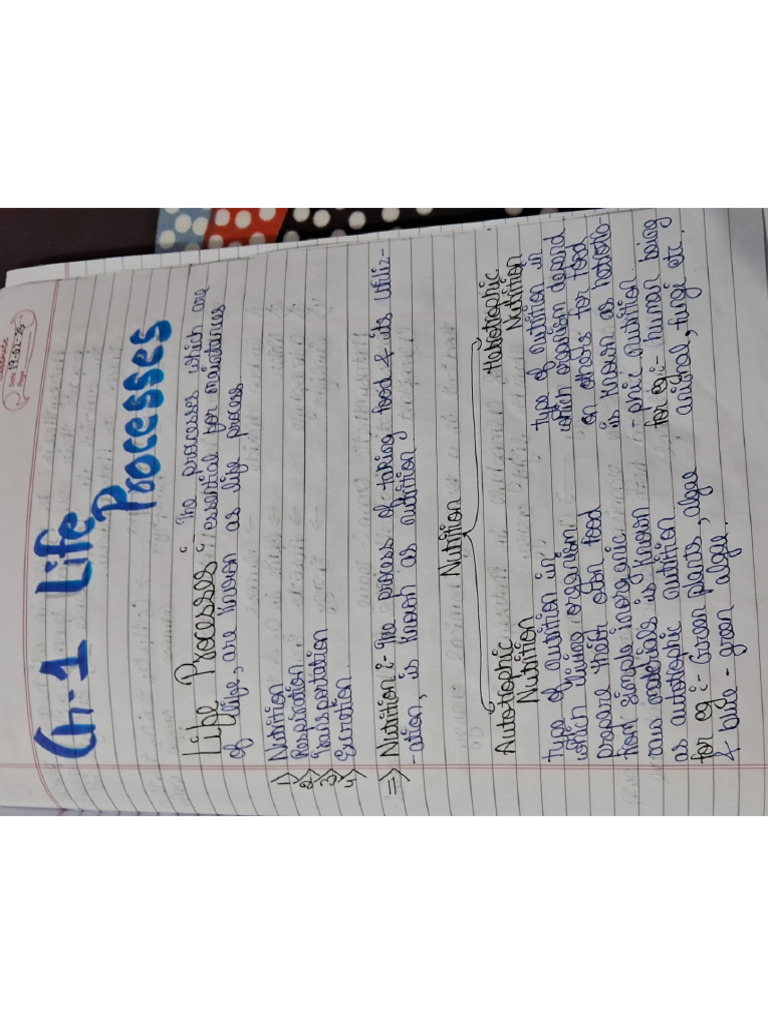 Life Processes | PDF