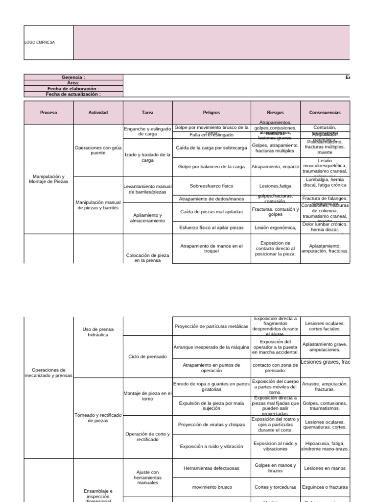 Evaluación de Riesgos y Medidas de Control | PDF | Dolor lumbar ...