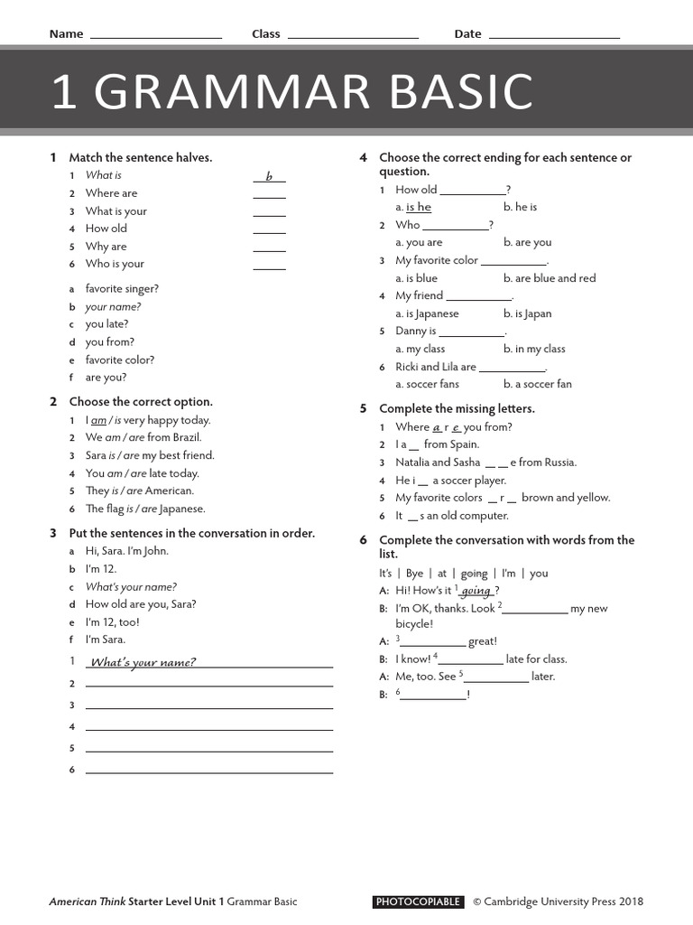 Basic Grammar Exercises for Beginners | PDF | Linguistics