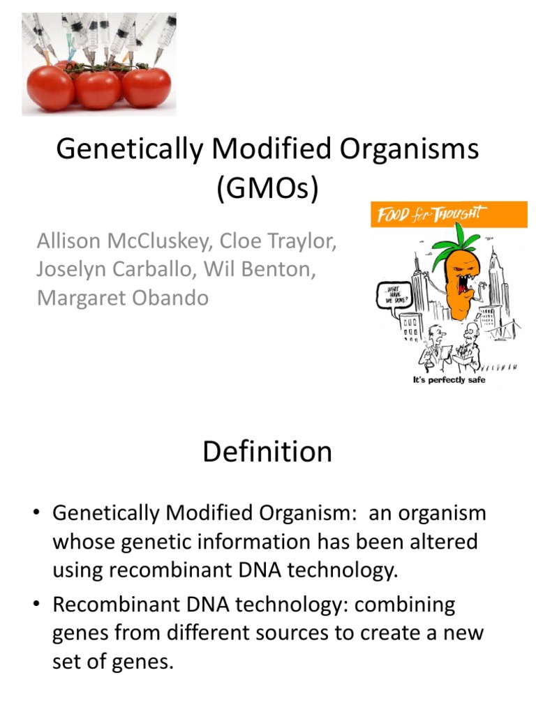 Understanding Genetically Modified Organisms | PDF | Molecular Cloning ...