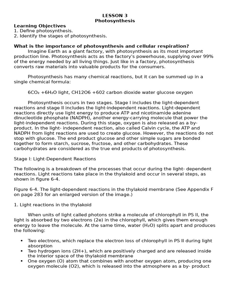 Lesson 6 Els | PDF | Photosynthesis | Chemistry