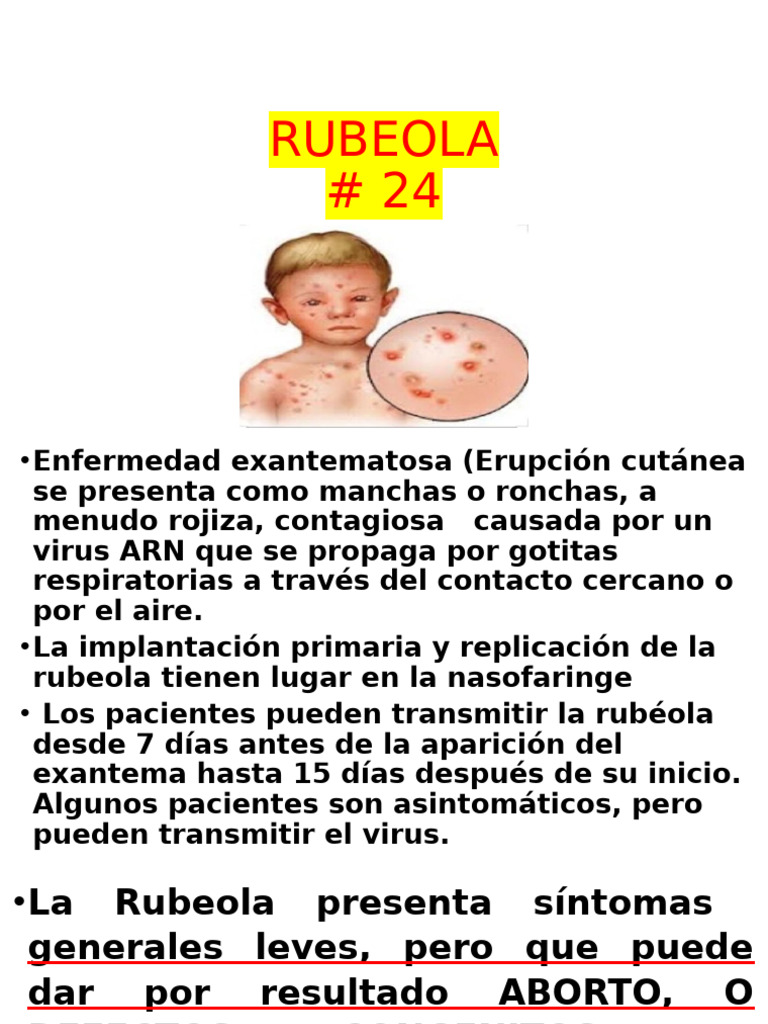 24 - Rubeola | PDF | Sarampión | Enfermedades y trastornos