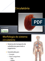 CN9-Sistema Circulatório