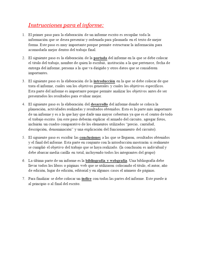 Instrucciones para El Informe - MUY IMPORTANTE | PDF