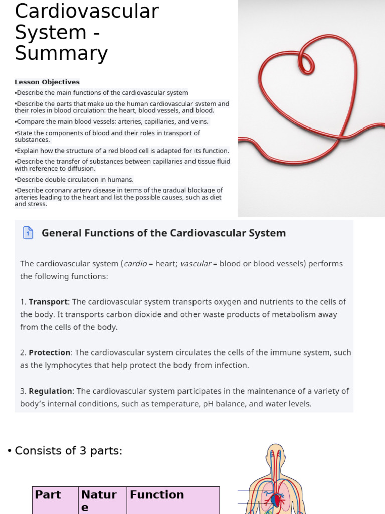 Understanding the Cardiovascular System | PDF | Artery | Heart