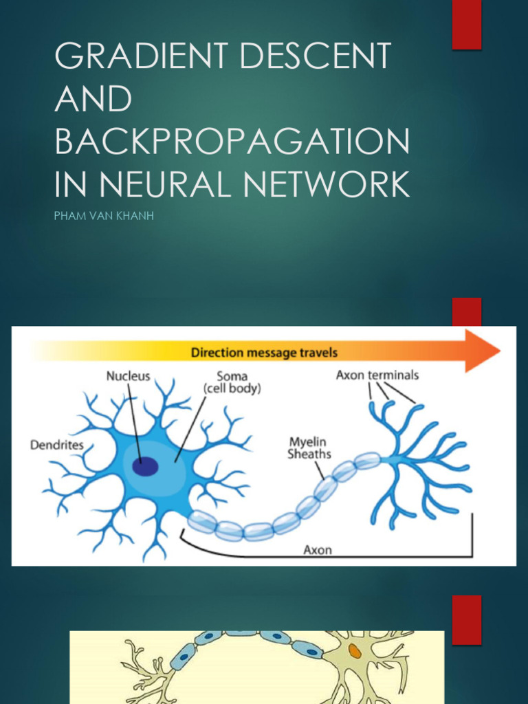 Gradient Descent and Backpropagation in Neural Network | PDF