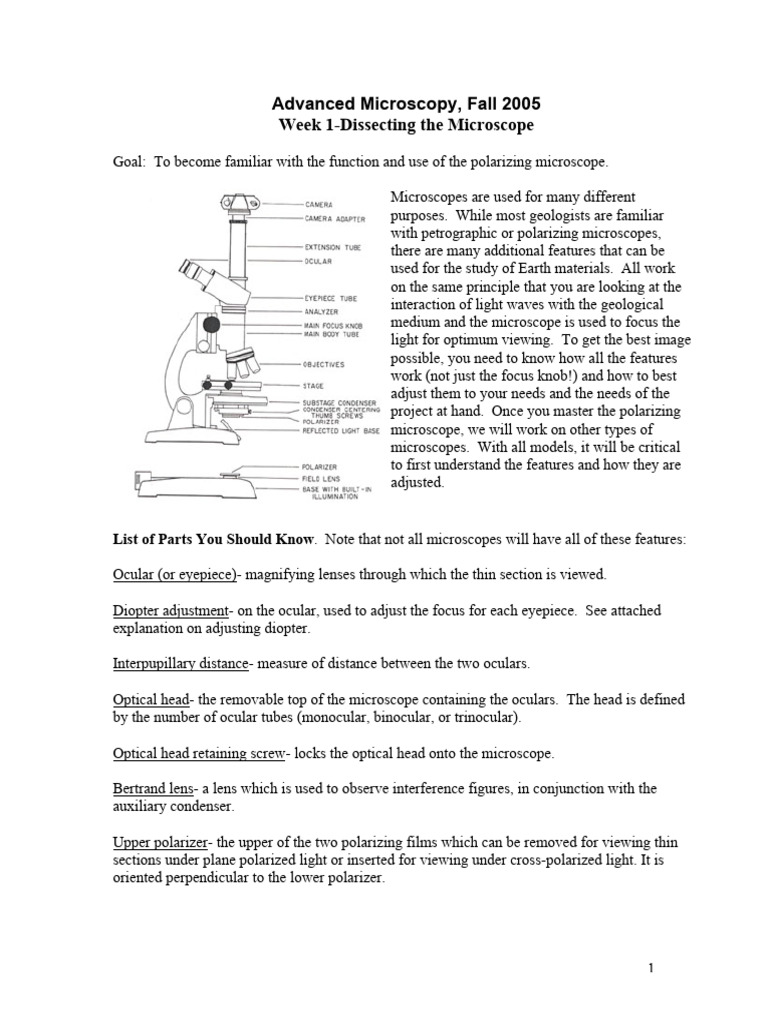 Microscope Parts | PDF | Microscope | Electromagnetic Spectrum