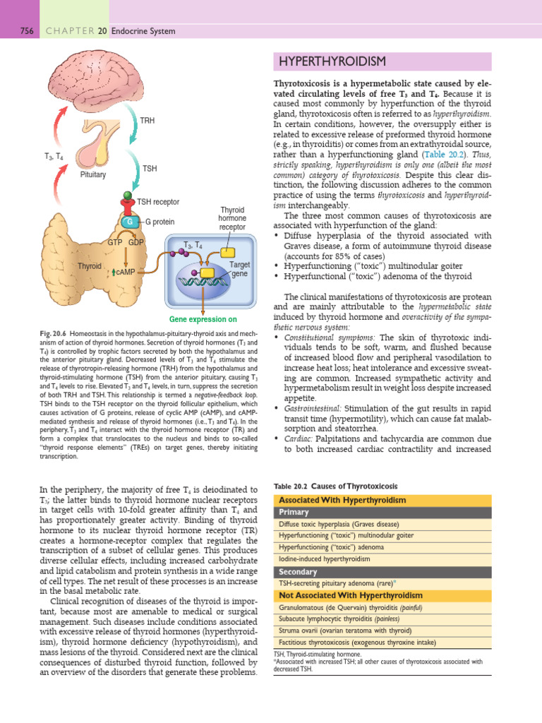 Thyroid _250923_110115 | PDF | Thyroid | Hyperthyroidism