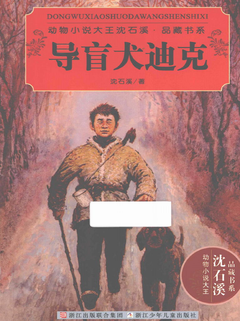 DuXiu Collection Document Overview | PDF