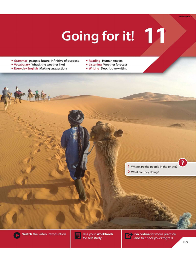 Unit 11 | PDF
