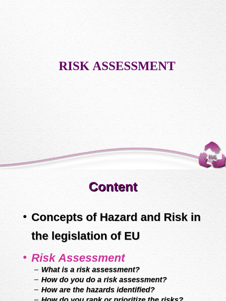 EU Risk Assessment Guidelines Explained | PDF | Risk | Risk Assessment