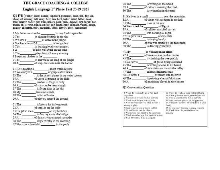 English Language Test: Fill-in-the-Blanks | PDF