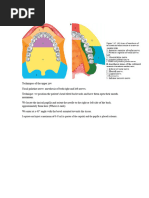 Field Block Anesthesia Techniques | PDF | Anesthesia | Injection (Medicine)