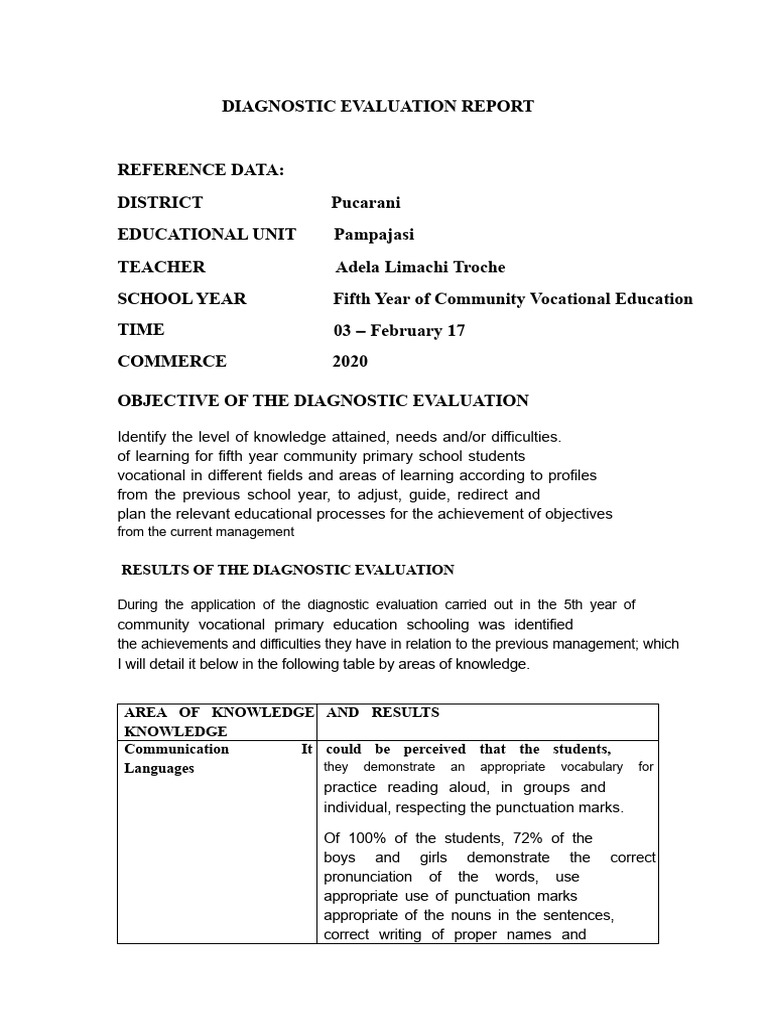 Diagnostic Evaluation Report 2020 | PDF | Reading Comprehension | Human ...