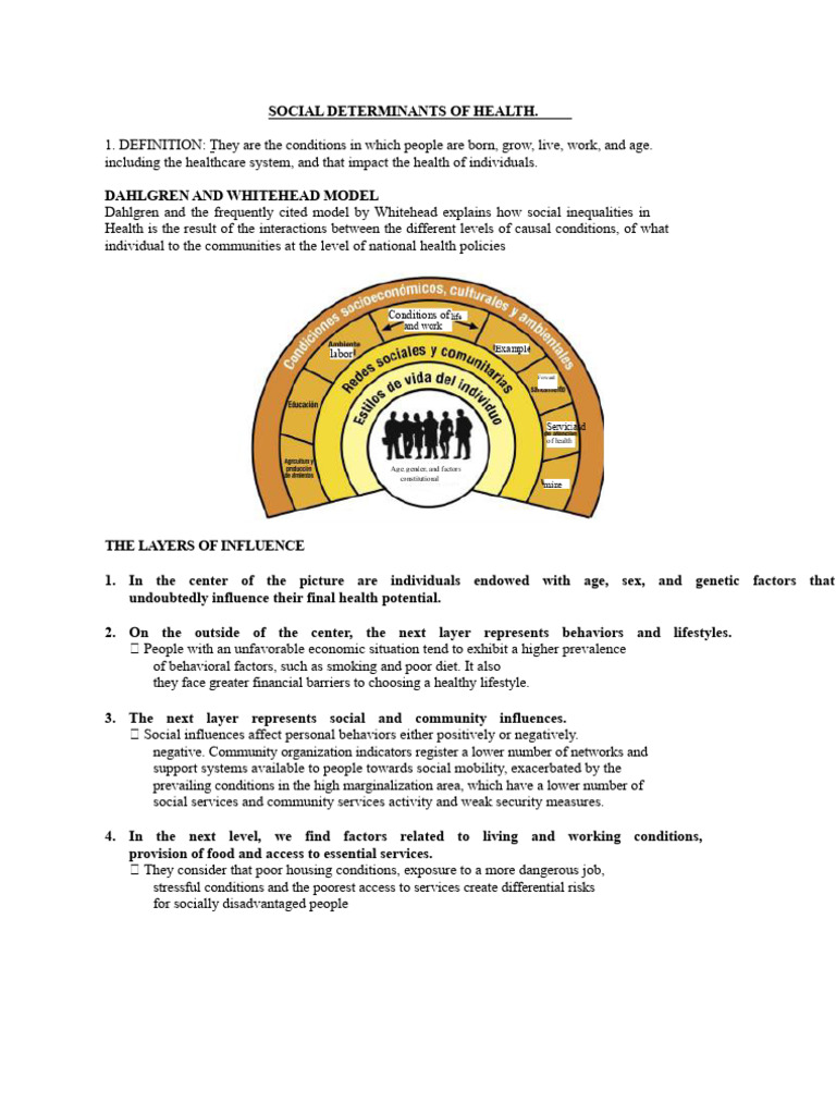Social Determinants of Health | PDF | Social Inequality ...