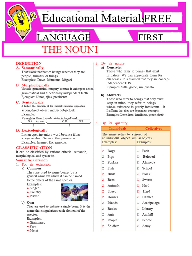 Understanding Nouns: Types and Functions | PDF | Noun | Subject (Grammar)
