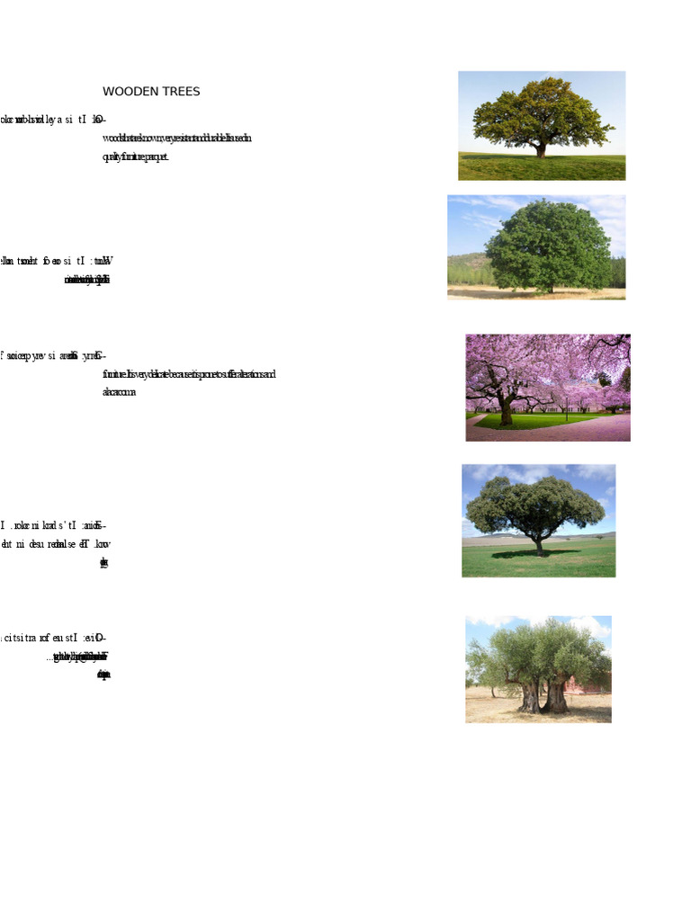 Types of Wood: Characteristics & Uses | PDF | Vegan Cuisine | Edible Plants
