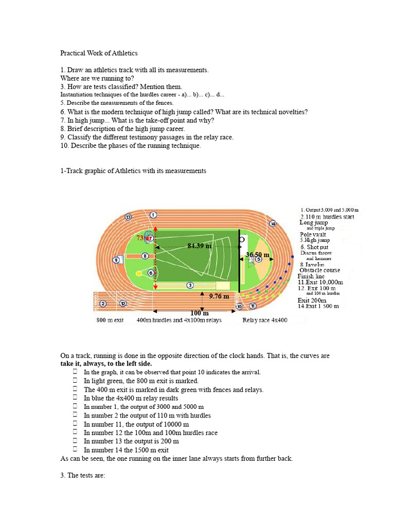 Athletics | PDF | Foot | Anatomical Terms Of Motion