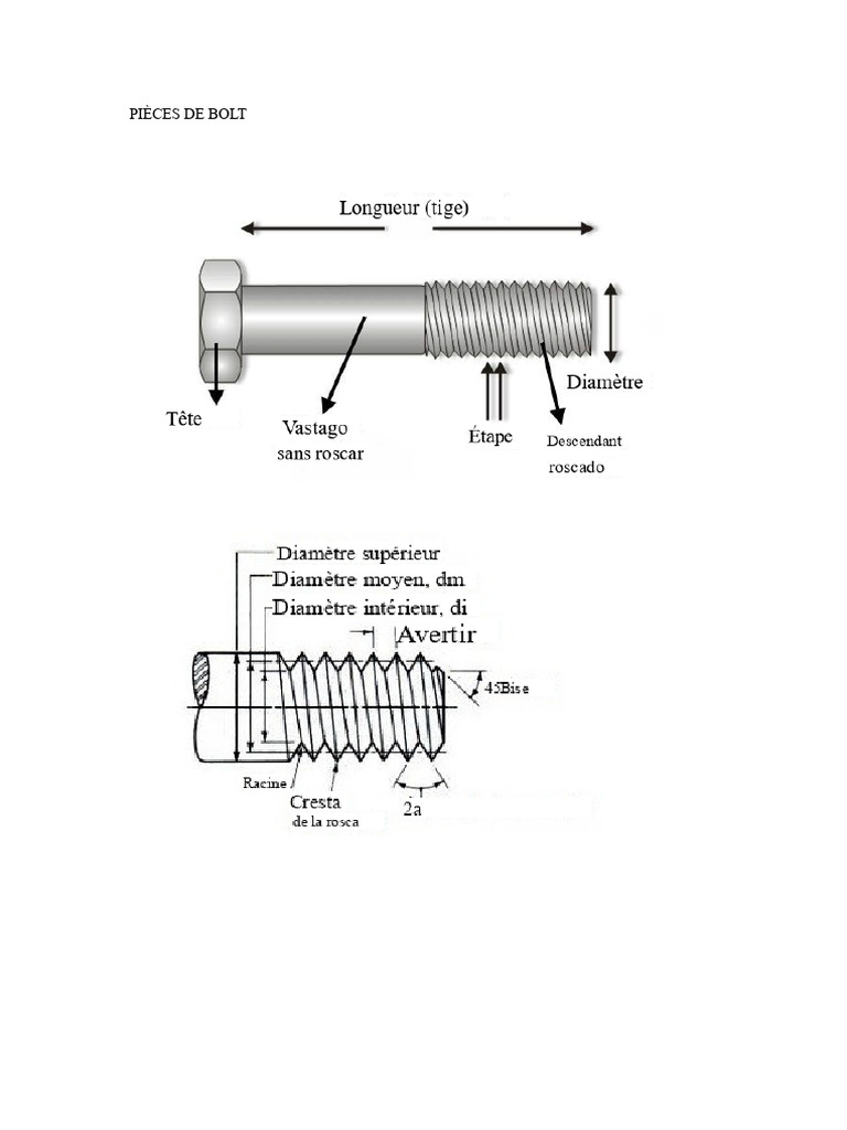 Types de vis et boulons expliqués | PDF | Vis de fixation | Corrosion