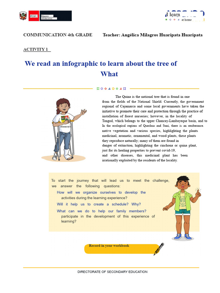 Quina Tree: 4th Grade Learning Activity | PDF | Natural Environment