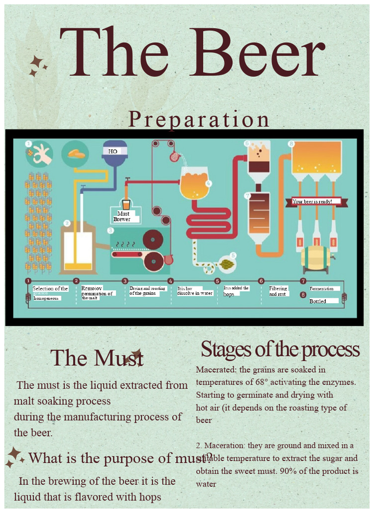 Infographic On The Beer Manufacturing Process | PDF