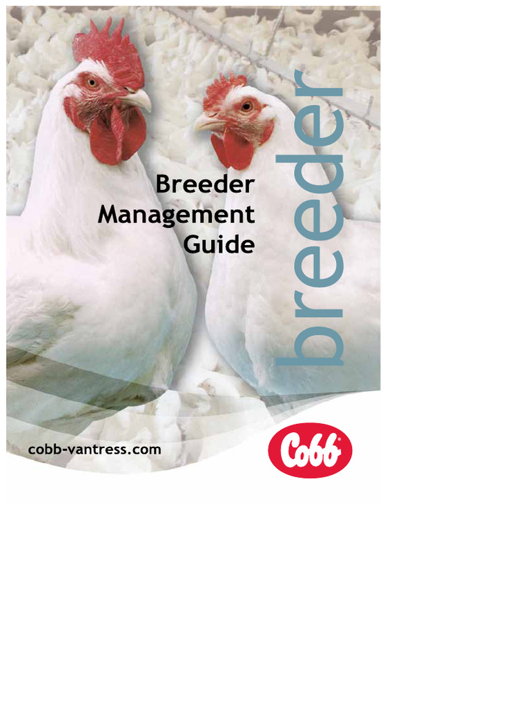 Ghid de Management Pentru Crescătorii Cobb | PDF