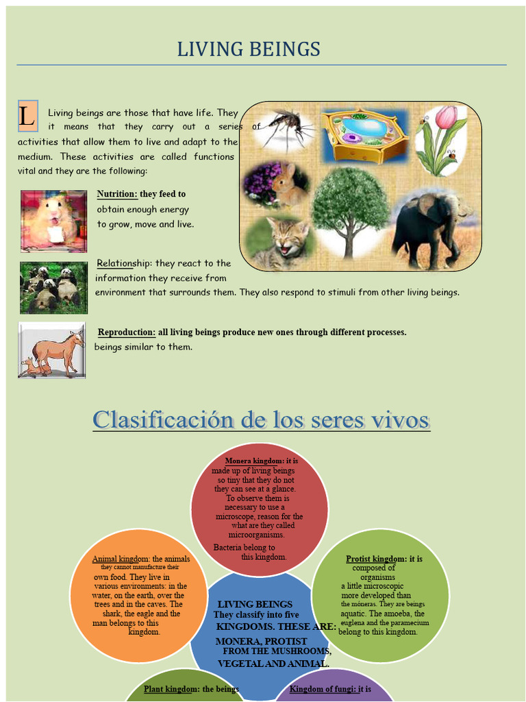 Topic 1 Living Beings | PDF | Biology | Organisms