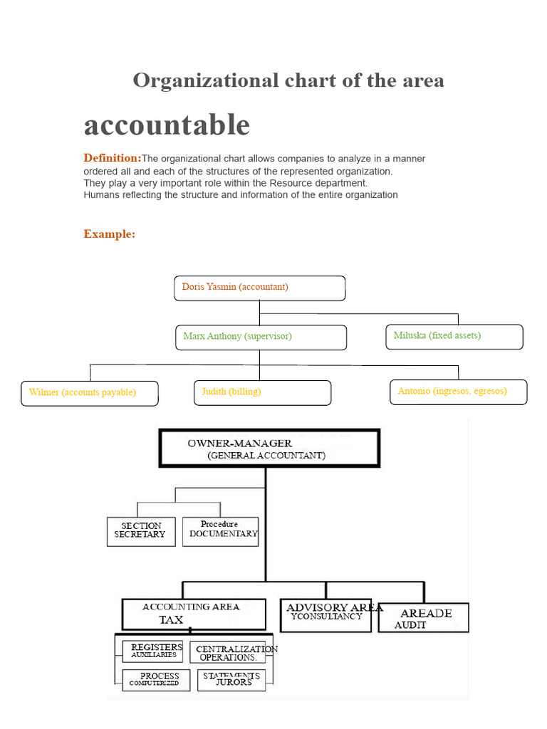 Organizational Chart and Accounting Functions | PDF