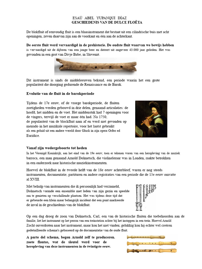 Geschiedenis Van de Fluit | PDF