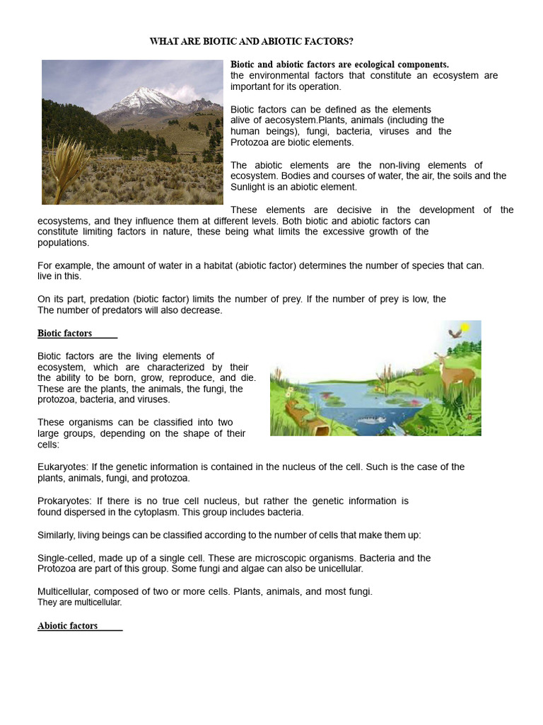 Biotic and Abiotic Factors | PDF | Ecosystem | Nutrition