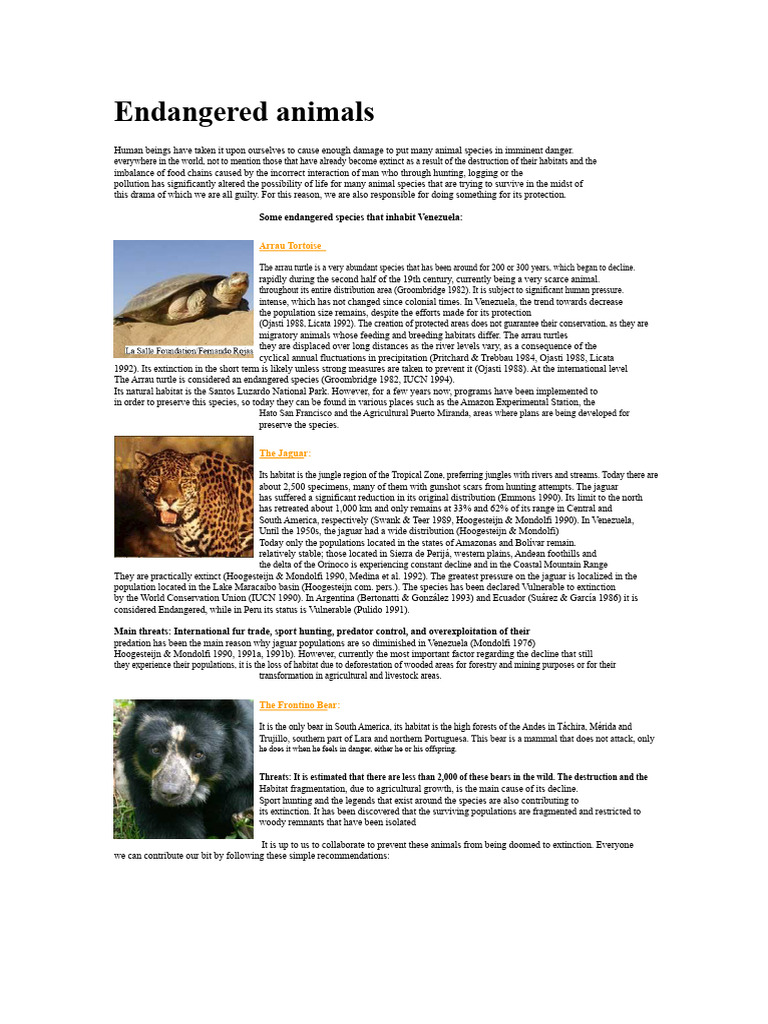 Endangered Animals | PDF | Jaguar | Venezuela