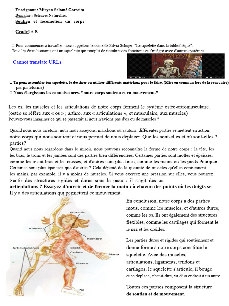 Squelette et locomotion du corps humain | PDF | Squelette ...
