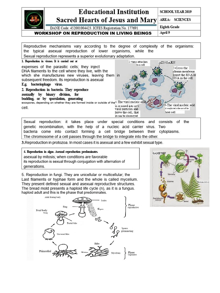 WORKSHOP Reproduction | PDF | Sexual Reproduction | Flowers
