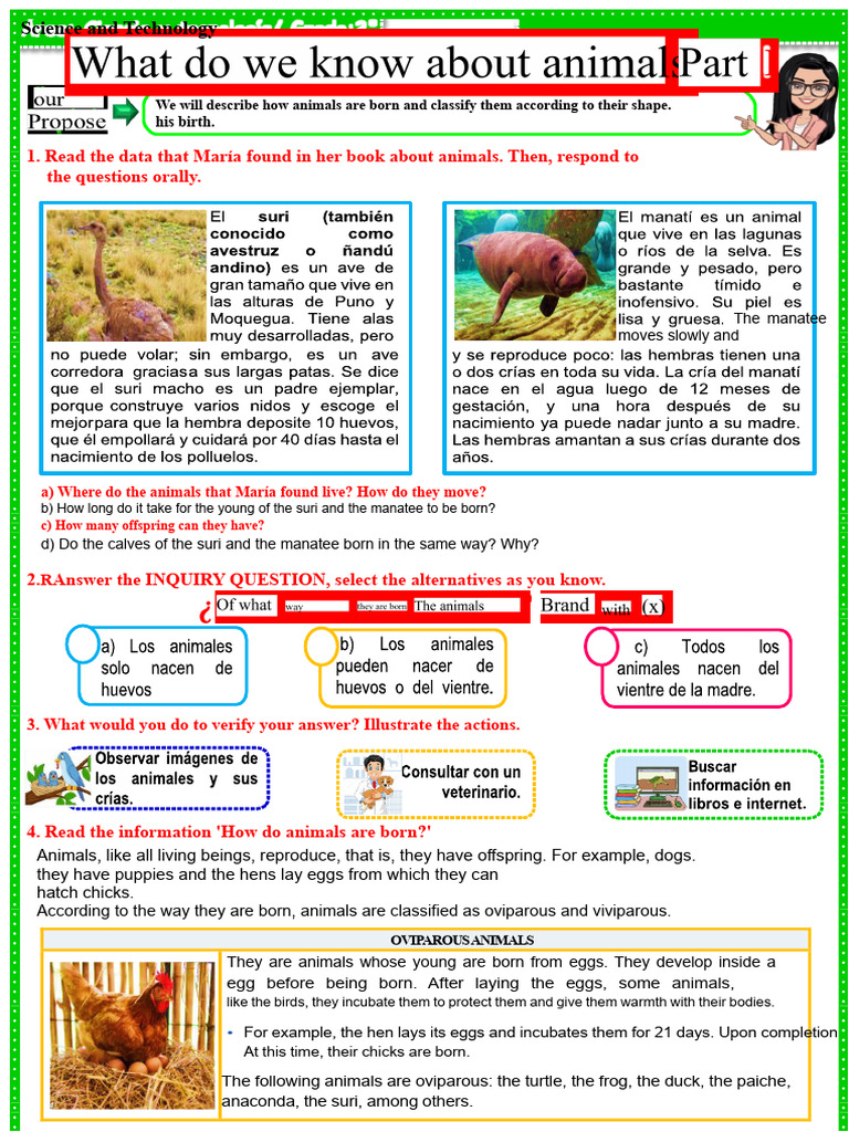 Viviparous vs Oviparous Animals Explained | PDF | Egg | Biological ...