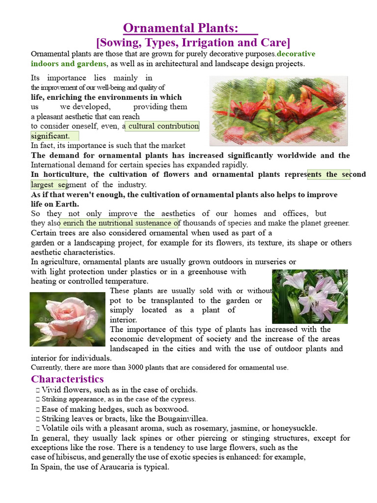 Benefits and Types of Ornamental Plants | PDF | Horticulture | Botany