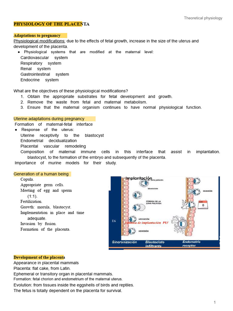 Placenta Physiology and Adaptations | PDF | Placenta | Progesterone