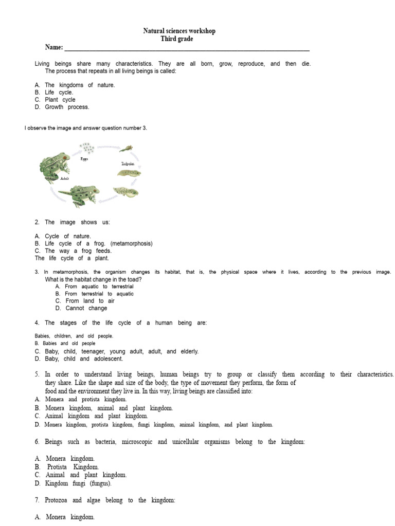CENSUS TEST. Grade 3, Period 1, Natural Sciences | PDF | Foods | Fungus