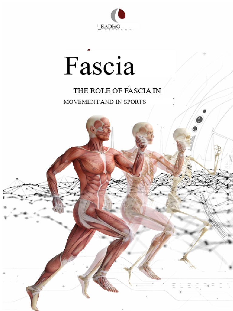Understanding Fascia's Role in Movement | PDF | Senses | Tendon
