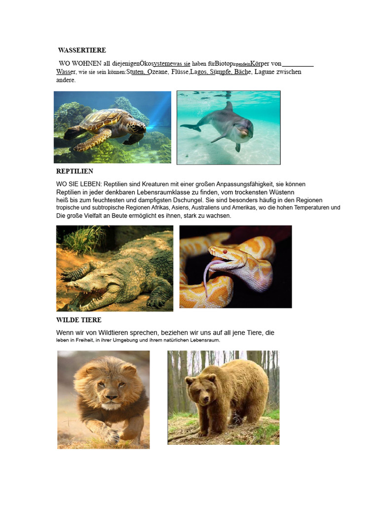 Wassertiere, Bauernhof, Wildtiere Und Ihr Lebensraum | PDF