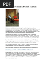 Download Bulu Babi KImia Pangan by Meltris Wenno ASthan SN92188016 doc pdf