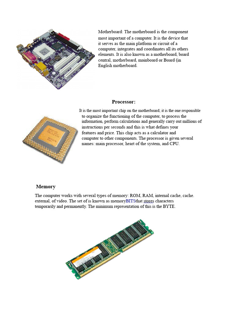 Internal and External Hardware Overview | PDF | Random Access Memory ...