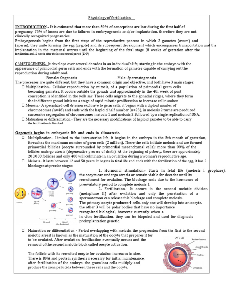 Understanding Fertilization Physiology | PDF | Meiosis | Fertilisation