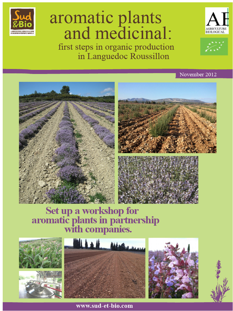 Organic Aromatic Plants Production Guide | PDF | Lavandula | Sowing