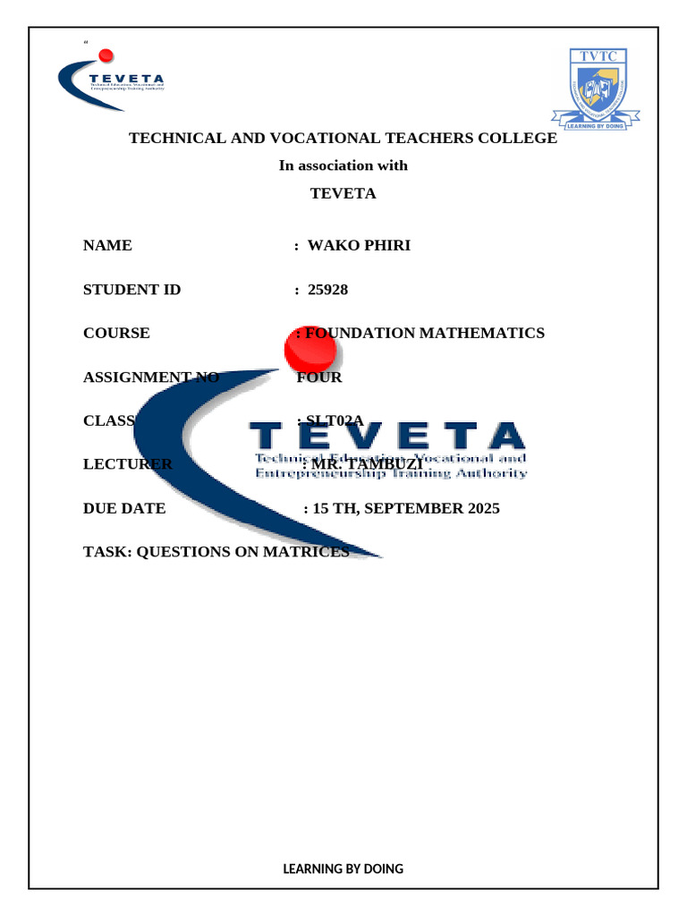 Foundation Mathematics Assignment on Matrices | PDF