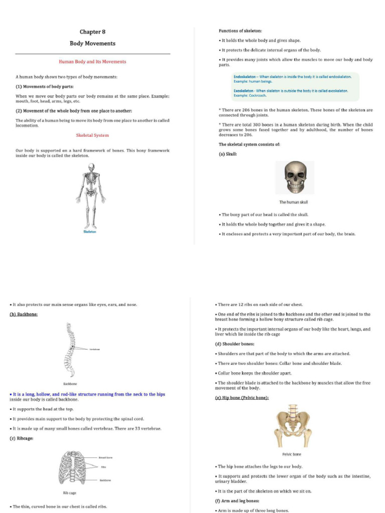 Chapter 8 Body Movements | PDF