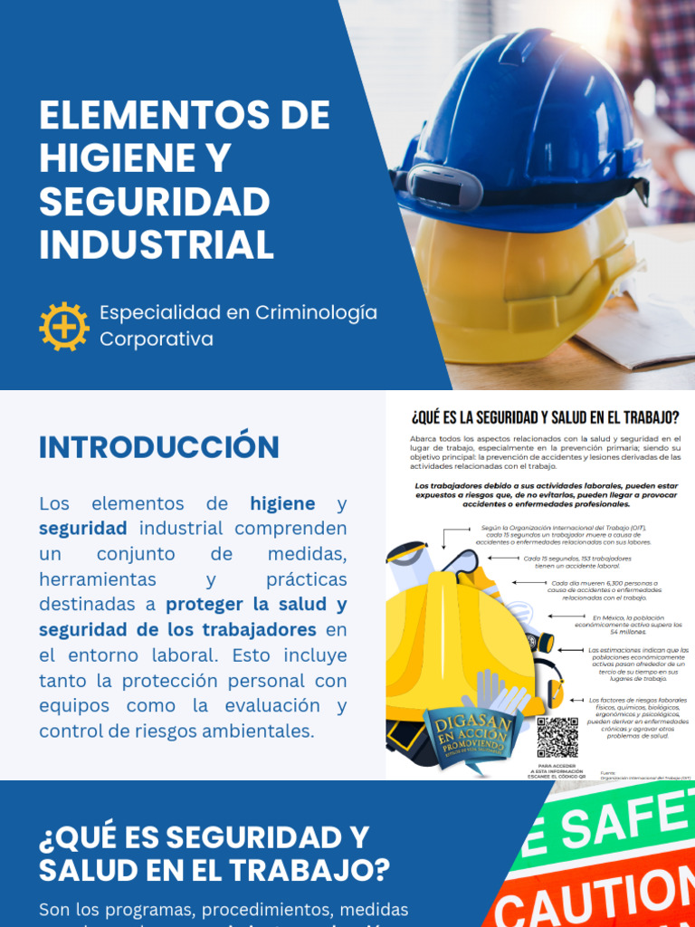 Elementos de Higiene y Seguridad Industrial | PDF | Riesgo | Valores